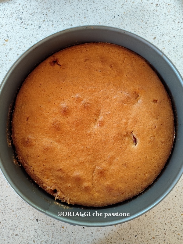 baked peach cake