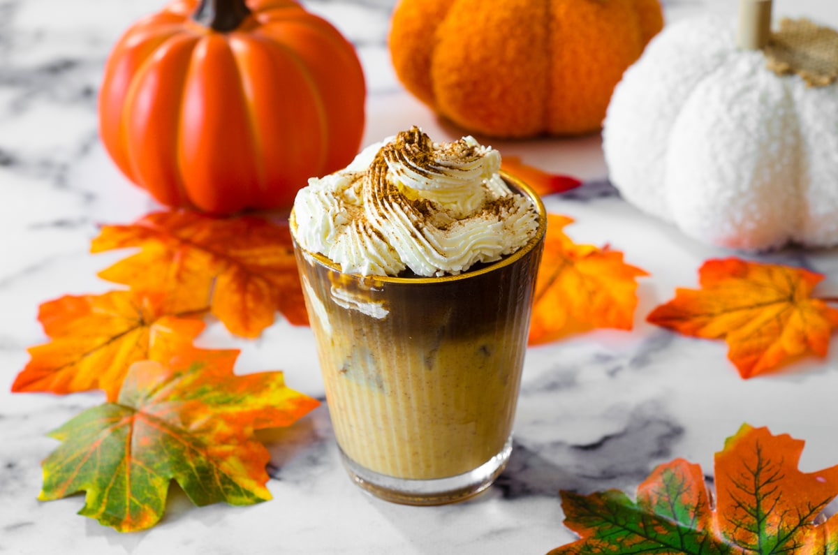 Iced Pumpkin Spice Latte, the cold version of the famous autumn beverage