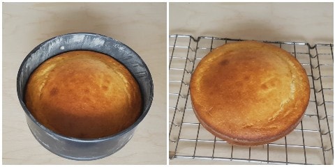 Freshly baked Ricotta and Lemon Cake