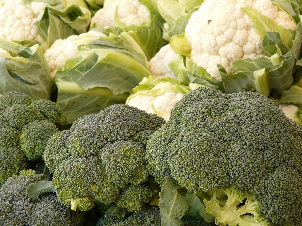 broccoli and cauliflower - raw and cooked vegetables
