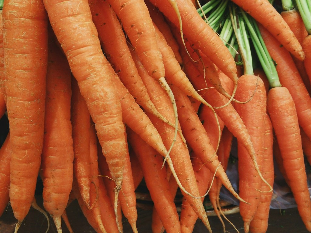carrots properties