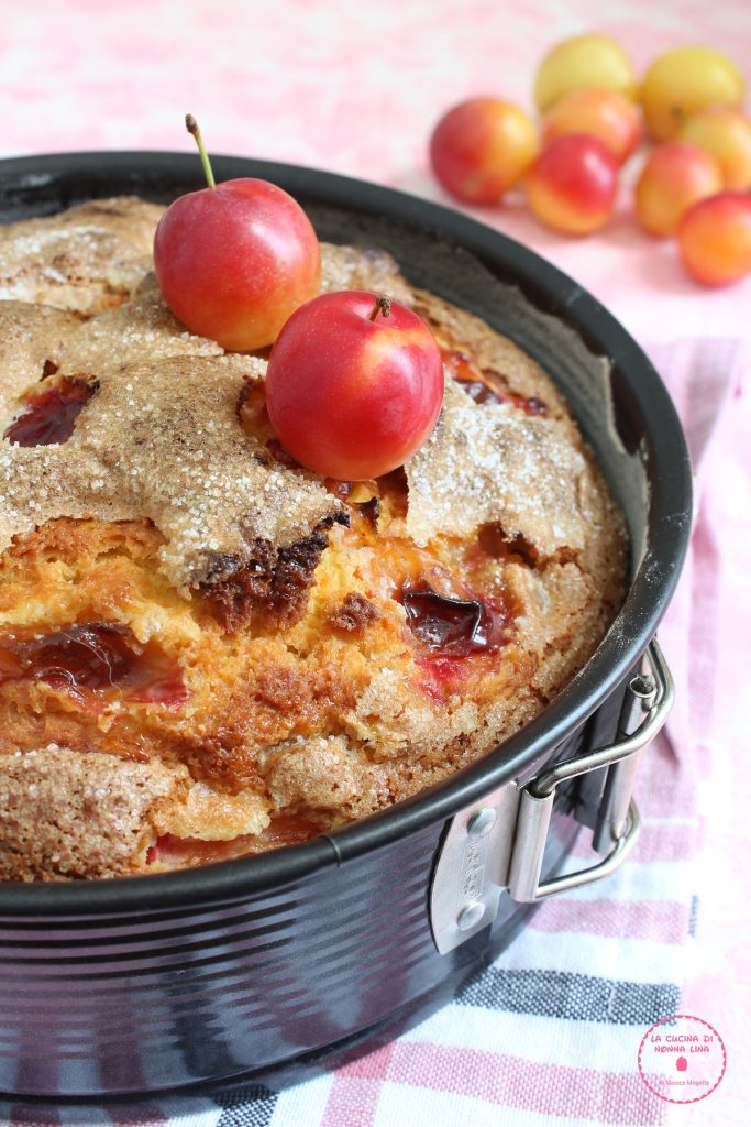 Fresh Plum Cake | Grandma Lina's Kitchen