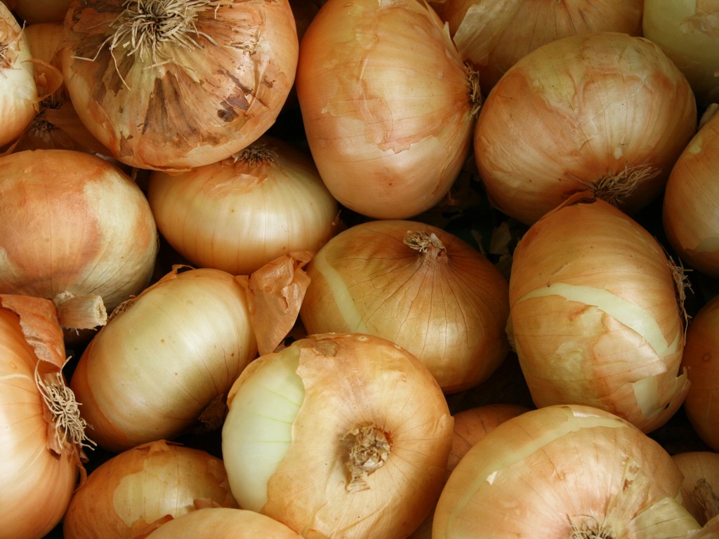 onions - raw and cooked vegetables