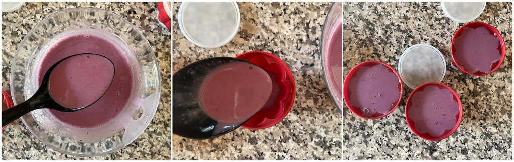 Blueberry Panna Cotta