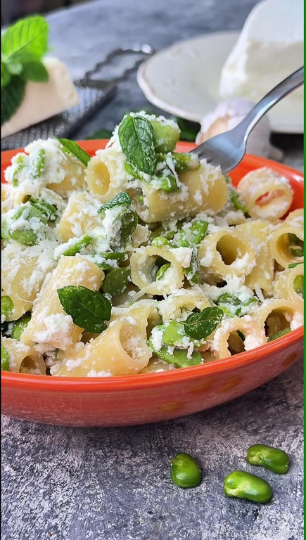 pasta with fava beans and ricotta