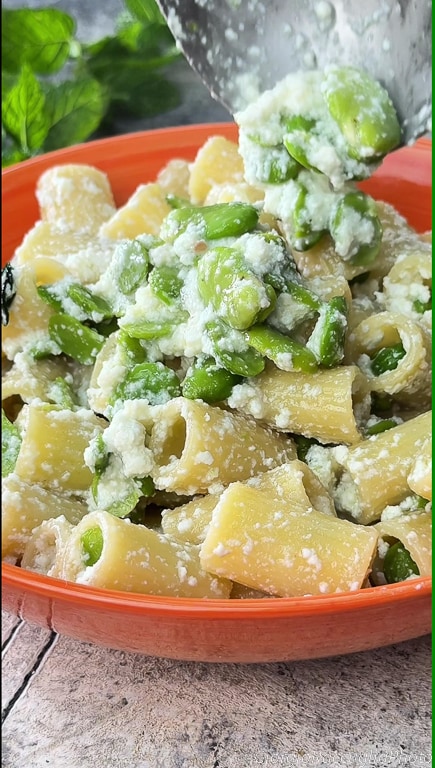 pasta with fava beans and ricotta