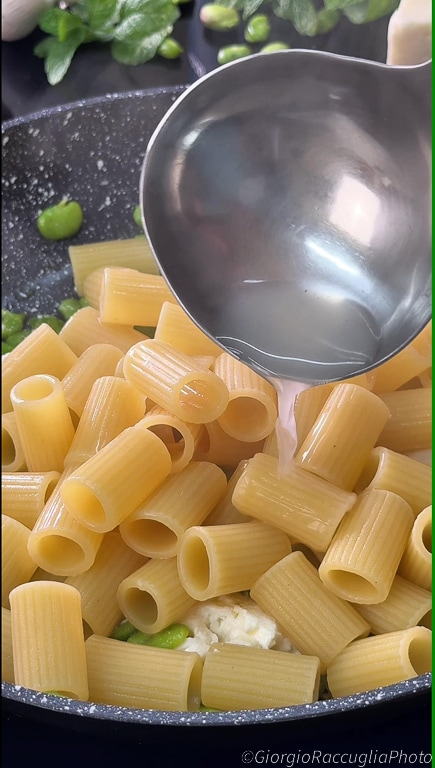 pasta with fava beans and ricotta