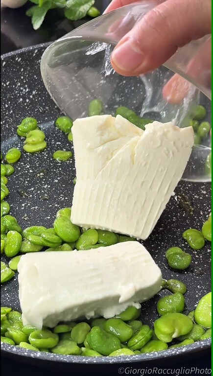 pasta with fava beans and ricotta