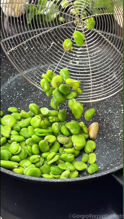 pasta with fava beans and ricotta
