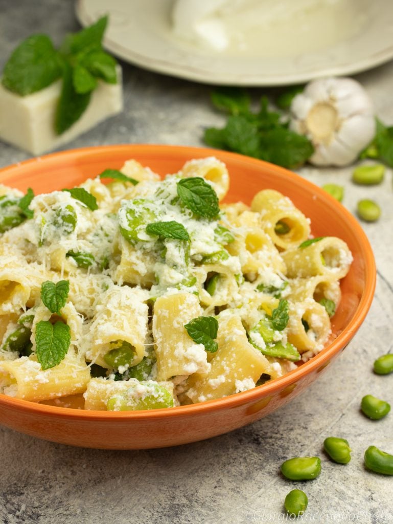 pasta with fava beans and ricotta