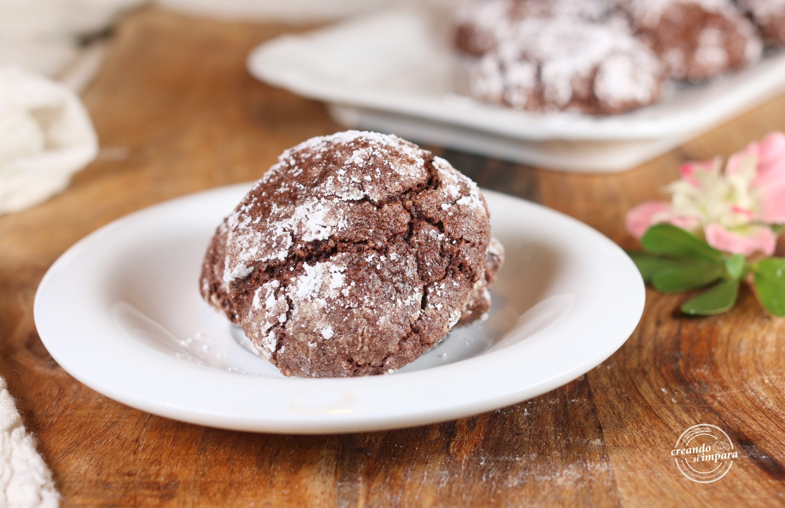 Pinched Cocoa Cookies