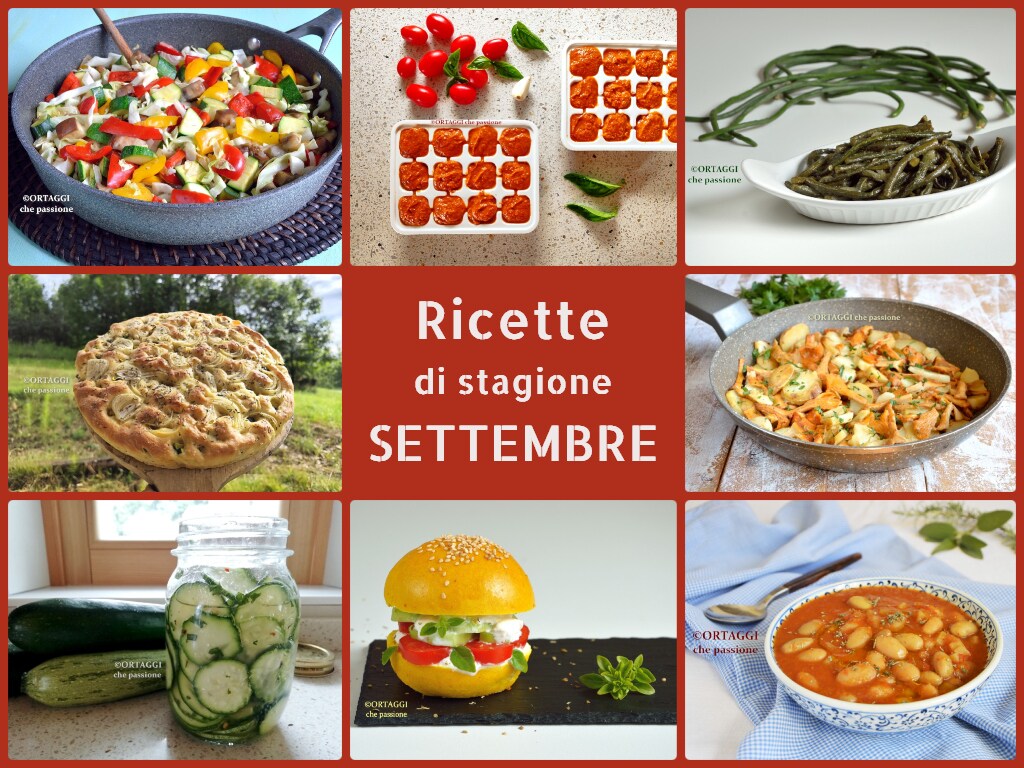 RECIPES with seasonal vegetables for SEPTEMBER