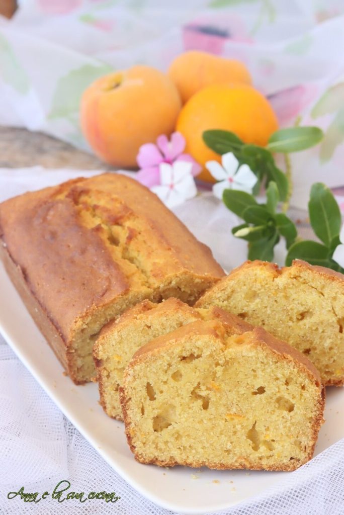 Plum Cake with Blended Fruit