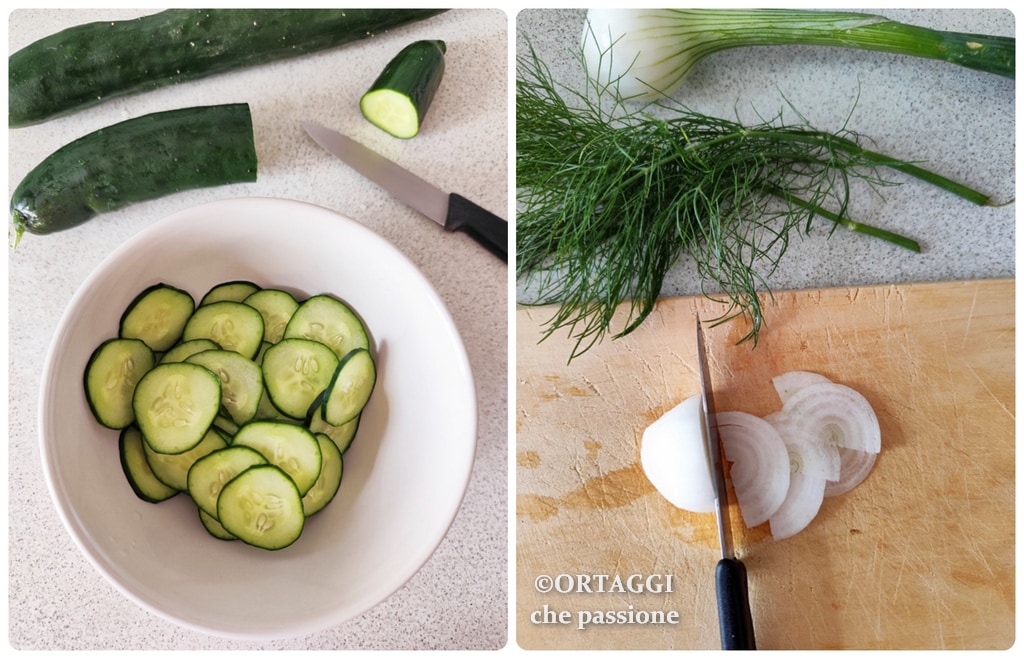 cutting cucumbers and spring onions