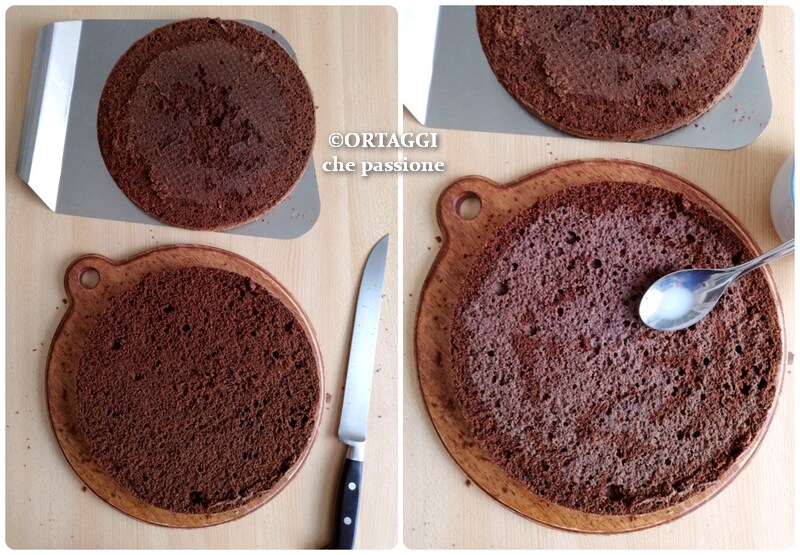 sponge cake cutting - ORTAGGI che passione