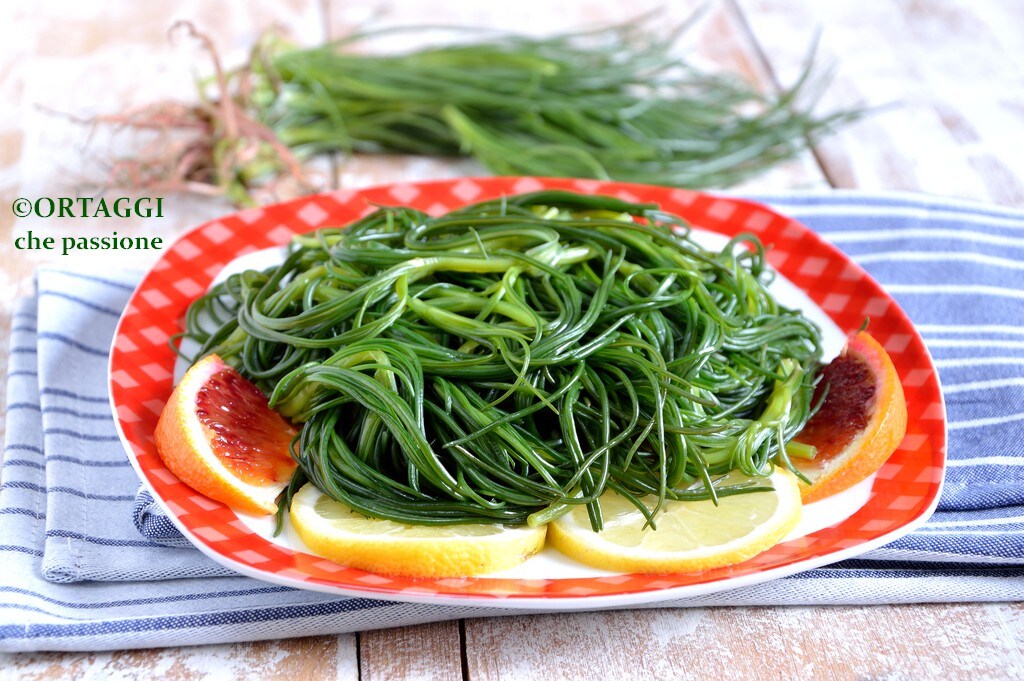 boiled agretti