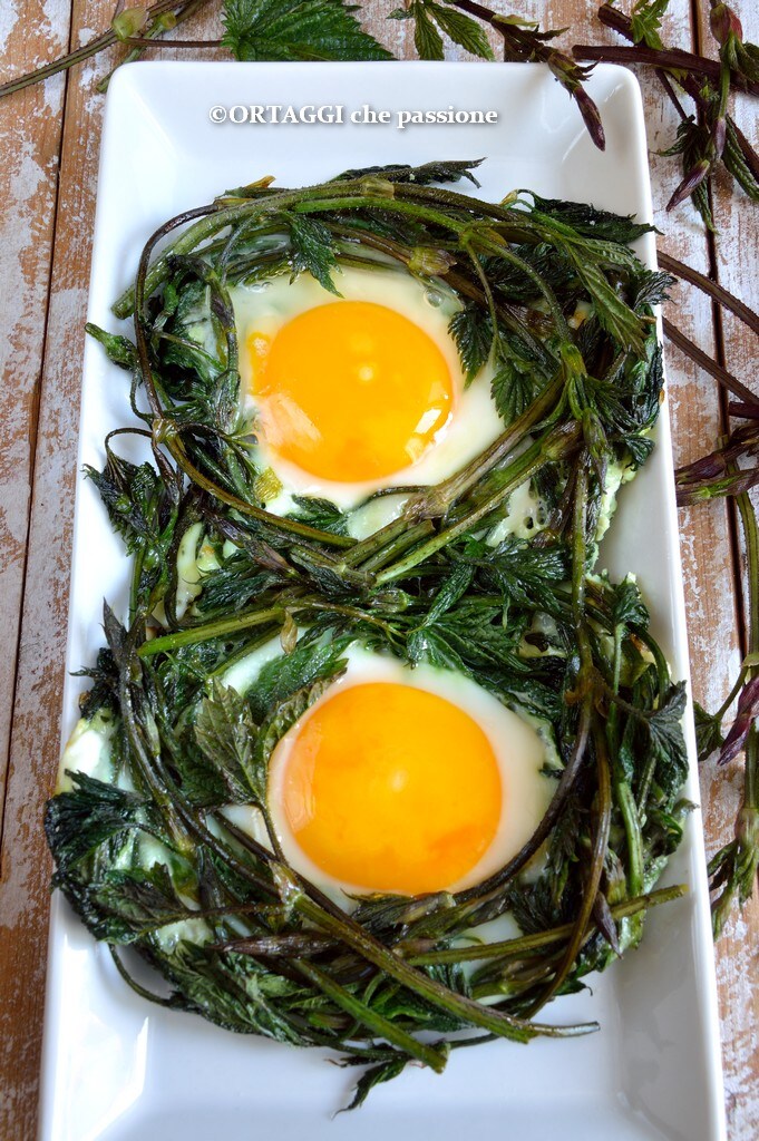 hop shoots nests with eggs quick appetizer