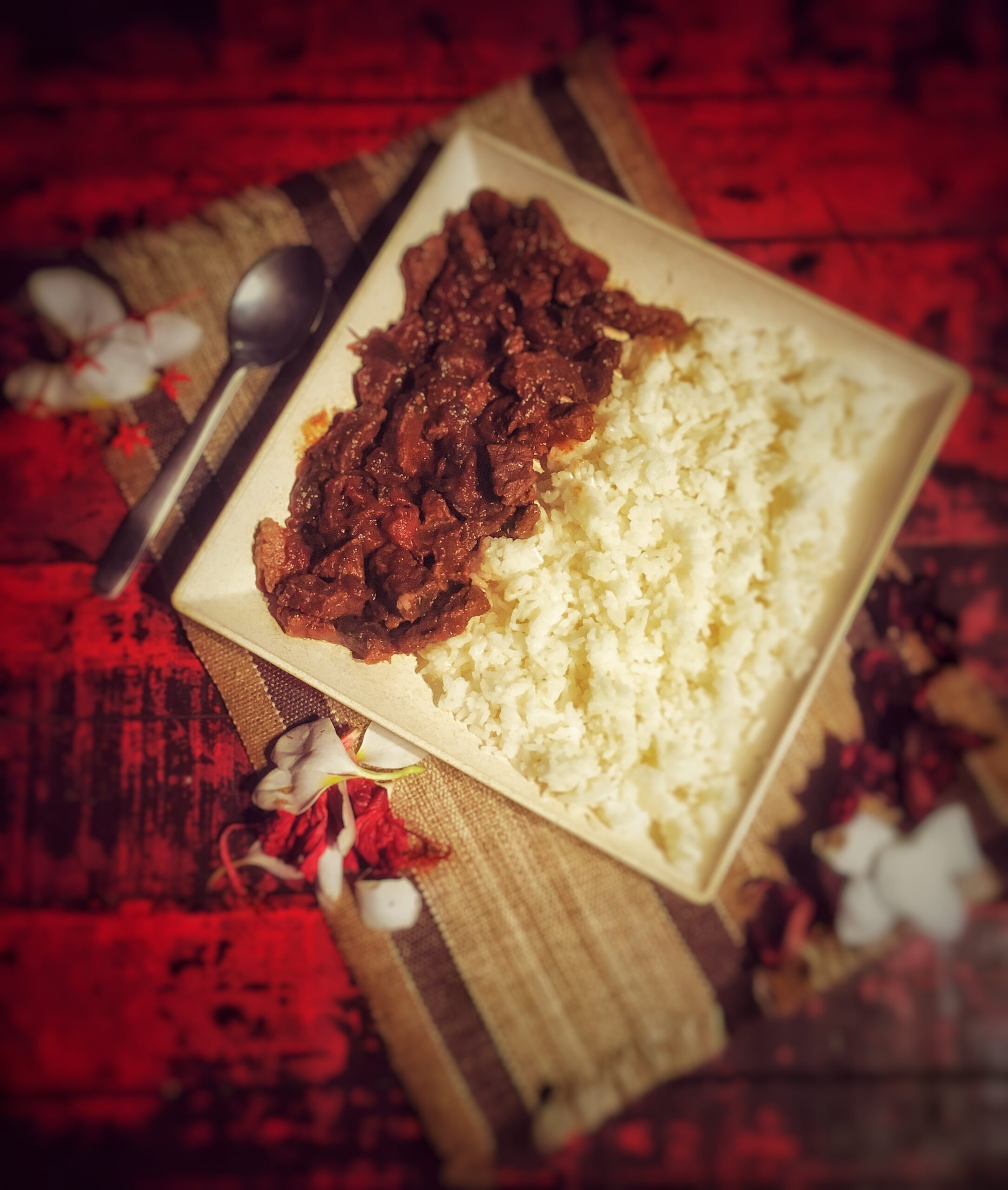 Hayashi Rice (Japan)