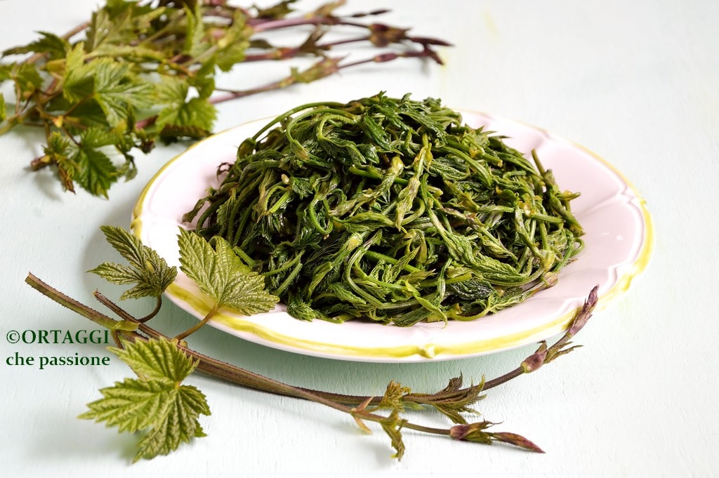 bruscandoli in a pan - wild hops