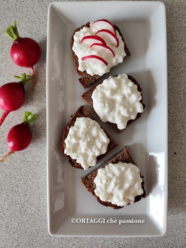 bread with cottage cheese and radishes