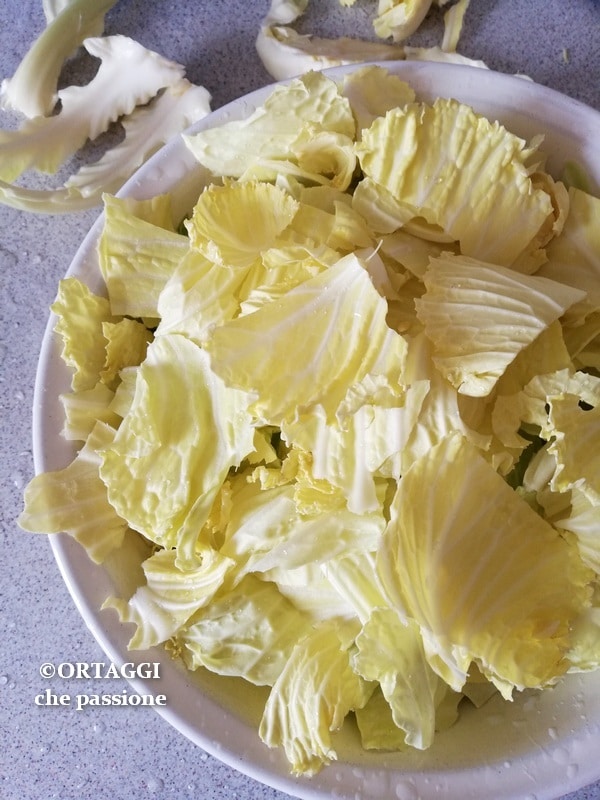 cut cabbage by hand