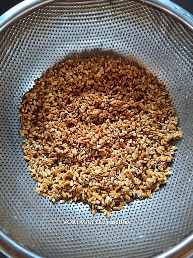 drain pearled farro after soaking