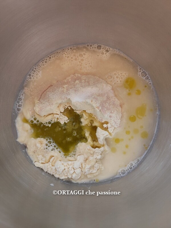 zucchini and onion focaccia ingredients