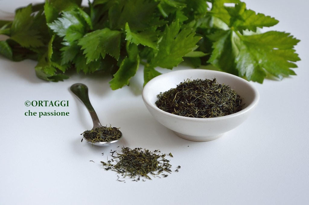 Celery Salt with Leaves or Stalks