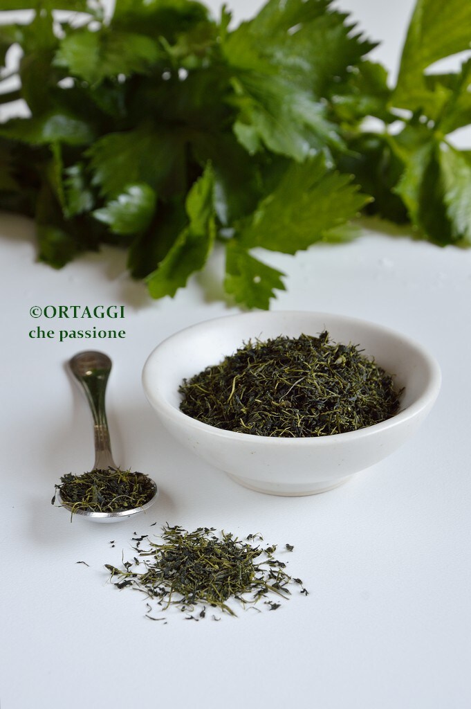 1037 celery salt with dehydrator