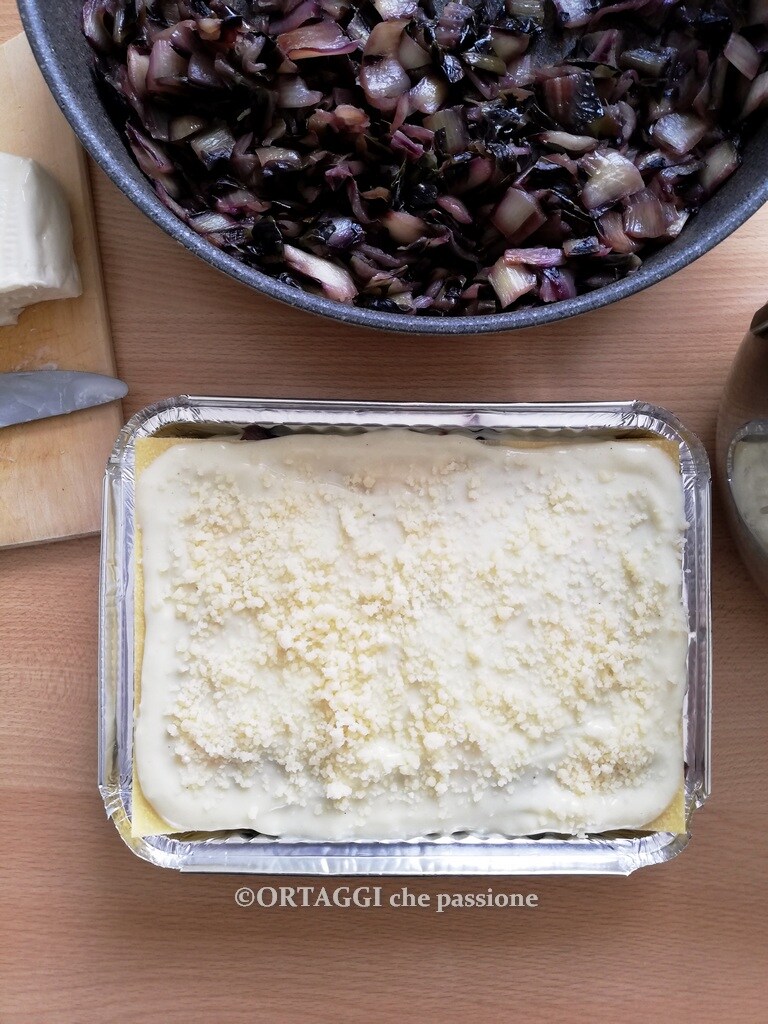 lasagna with red radicchio and casatella