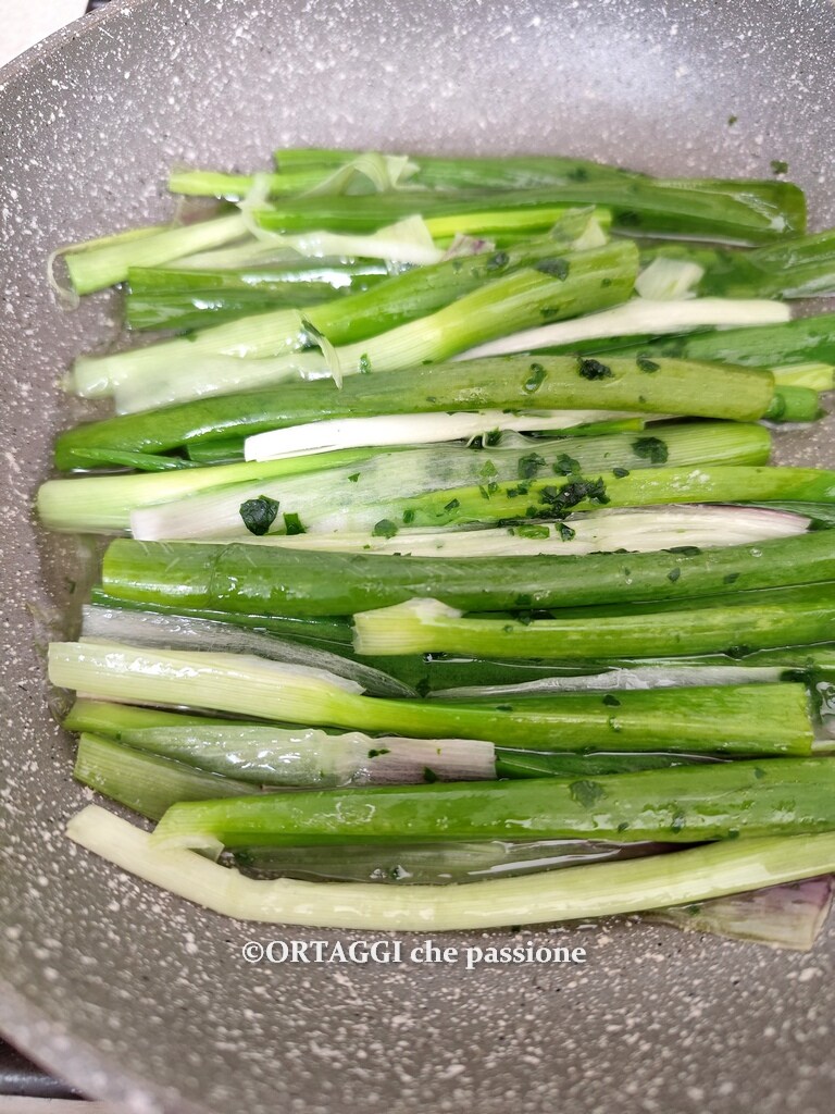 how to use green onion stalks