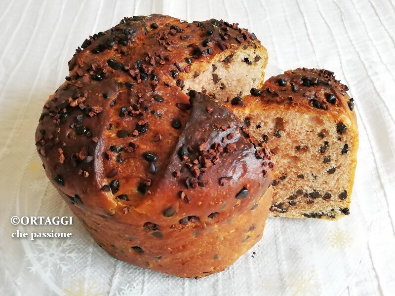 Simple and LIGHT Panettone, no knead