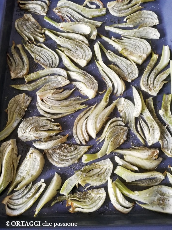 Baked Fennel ORTAGGI che passione