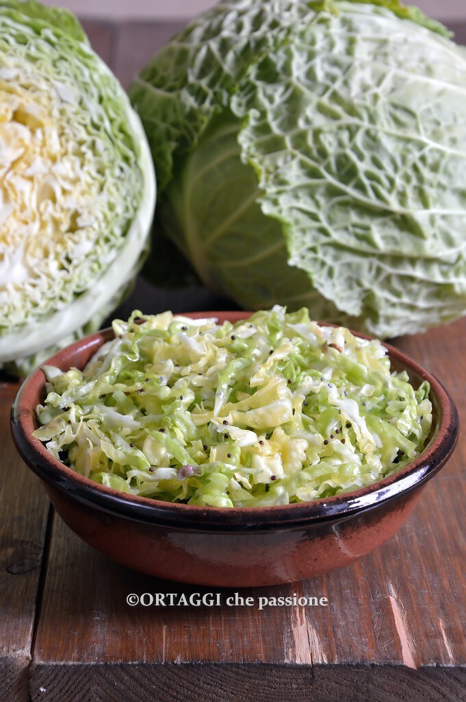 raw cabbage salad flavorful and tasty