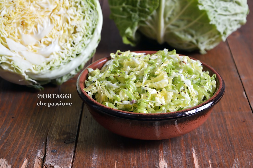 cabbage in crispy and tender raw salad