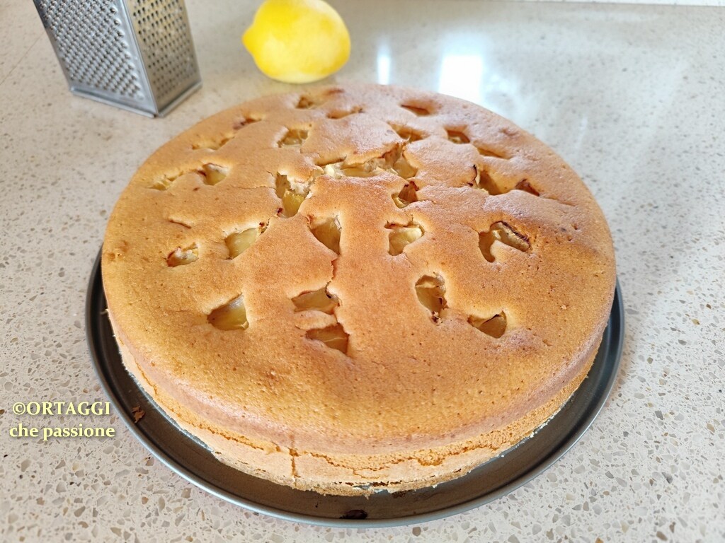 SUPER LIGHT and Quick Lemon Cake