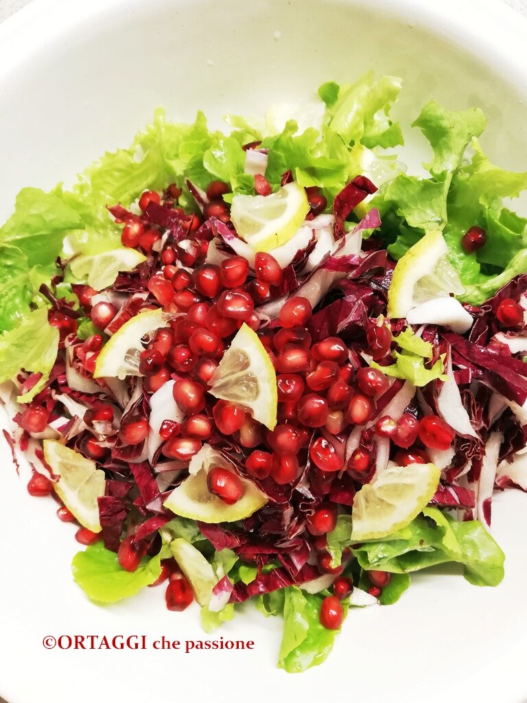 salad with pomegranate and citrus fruits
