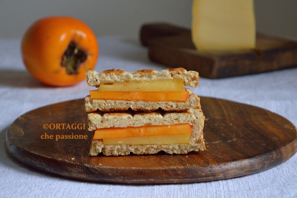 Quick Vegetarian Toast – Many Delicious and Original Fillings