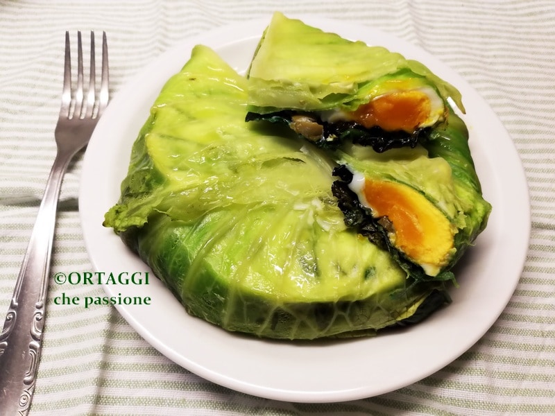 Savoy Cabbage and Eggs, as a PIE