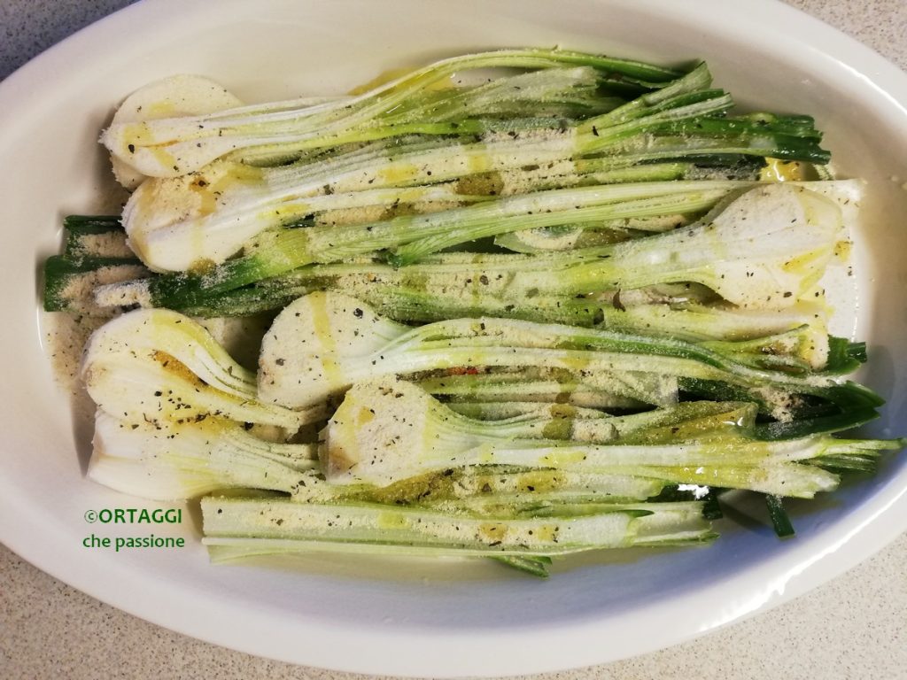 baked gratin spring onions