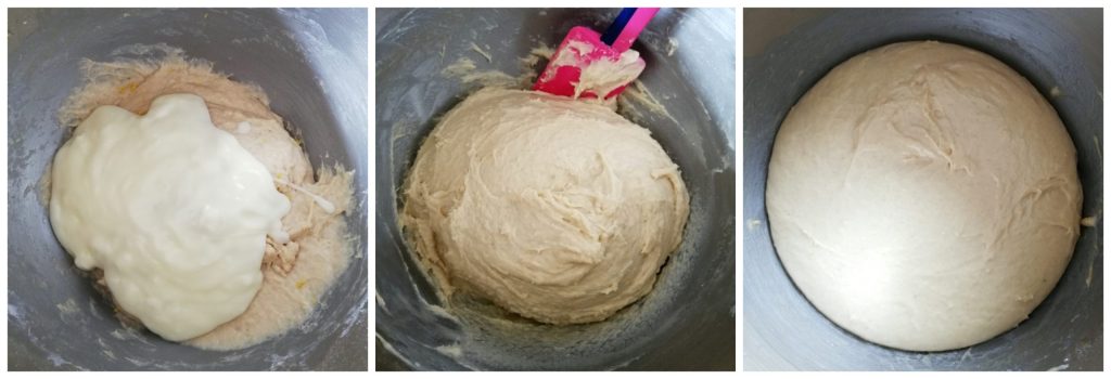 1st rise Brioche Bread