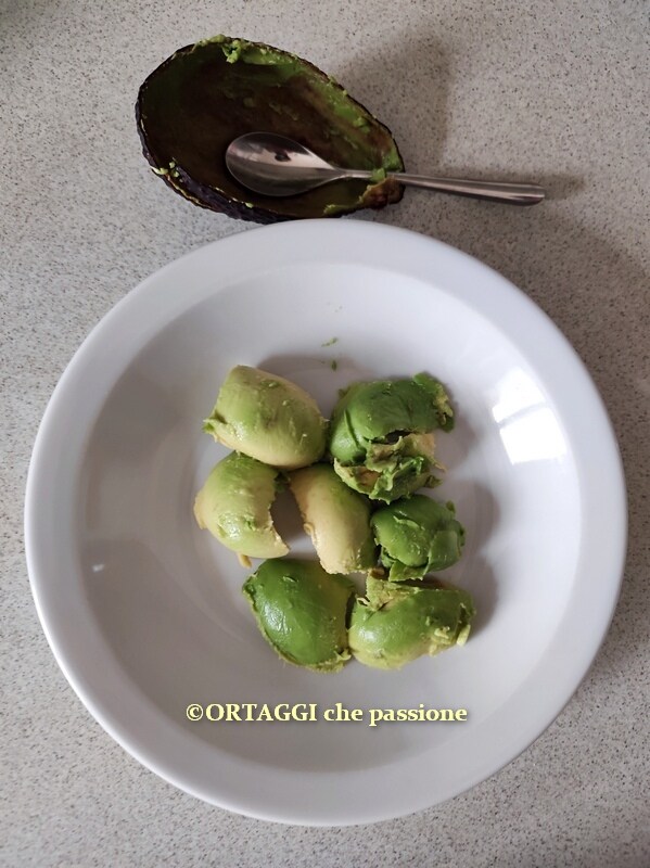 avocado pulp removed