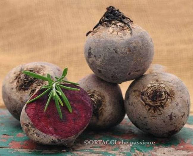 collected red greens