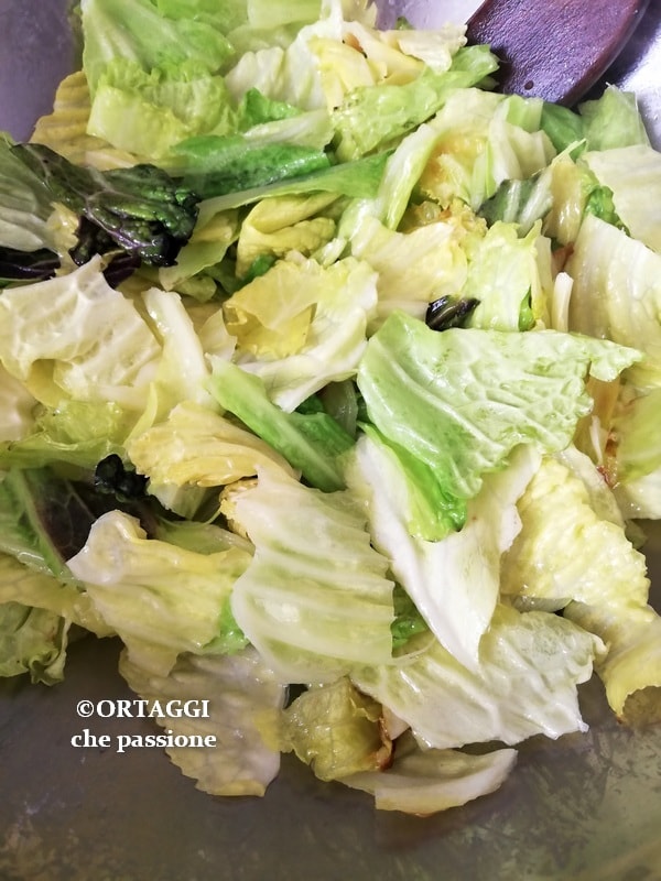 sauté cabbage in a pan