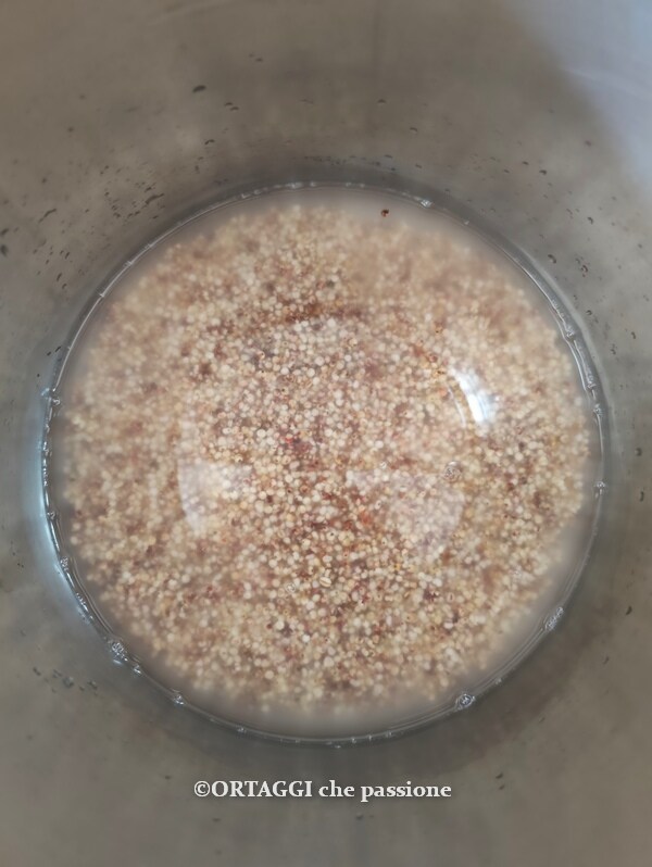 water and sorghum for cooking