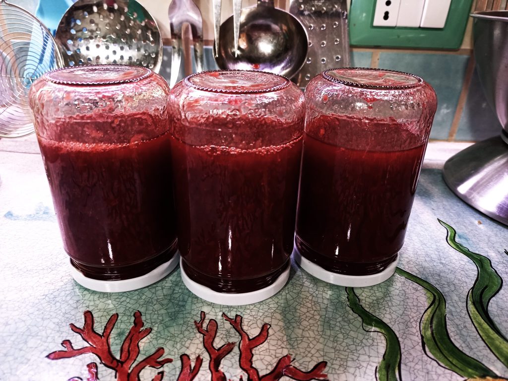 Sugar-Free Blackberry Jam