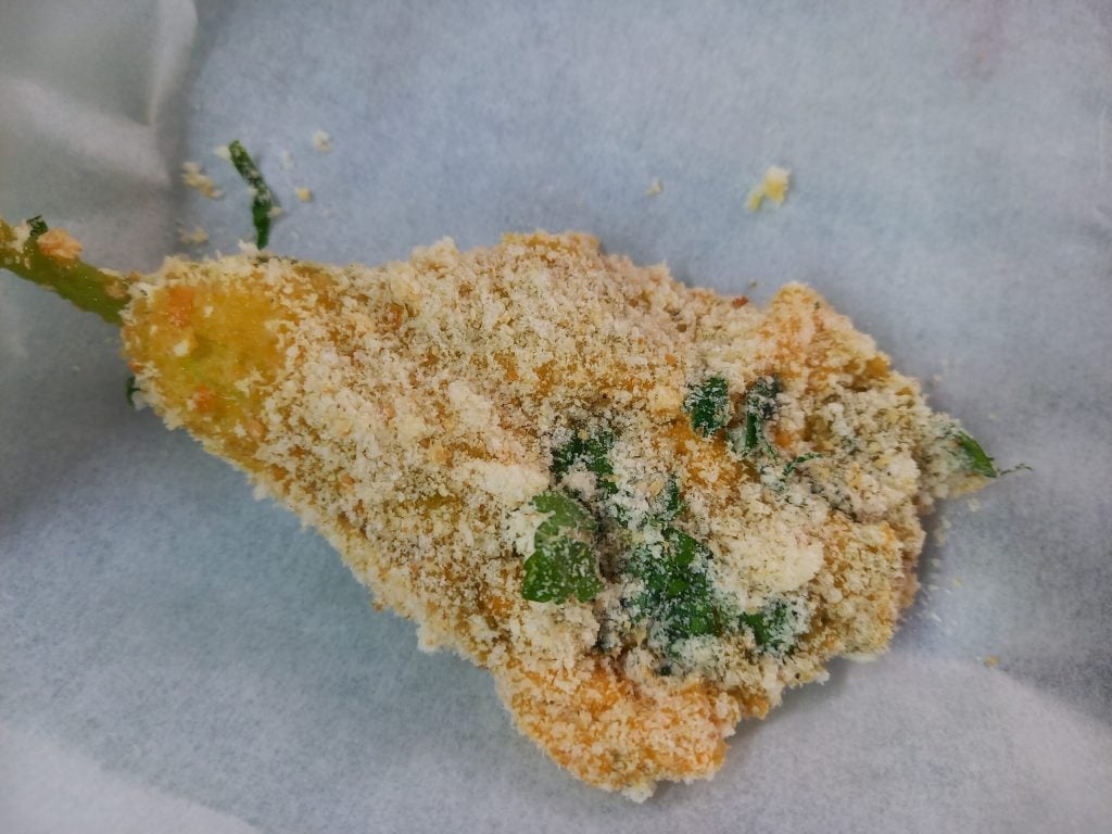 Zucchini flowers