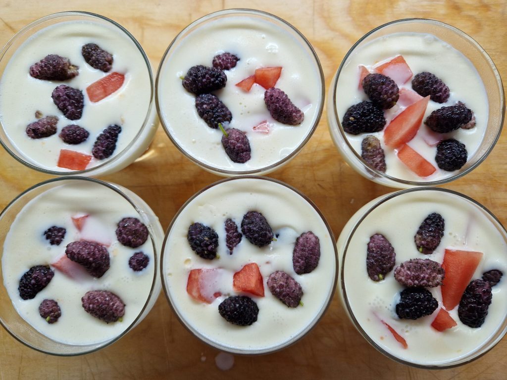 Panna Cotta with Fruit