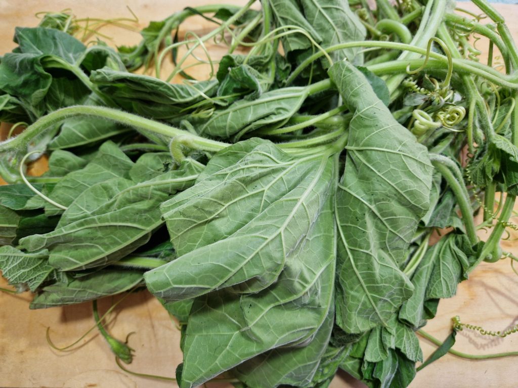 The Original Sicilian Pasta with Tenerumi Recipe