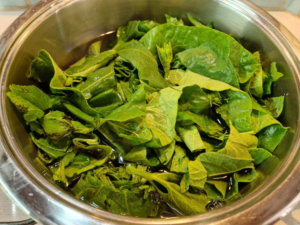 The Original Sicilian Pasta with Tenerumi Recipe